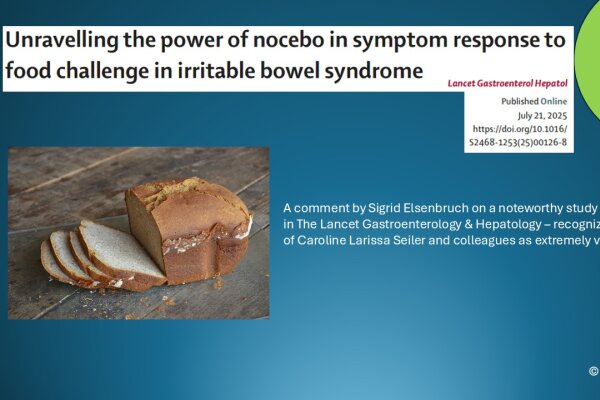 Publikation Comment Se Eng